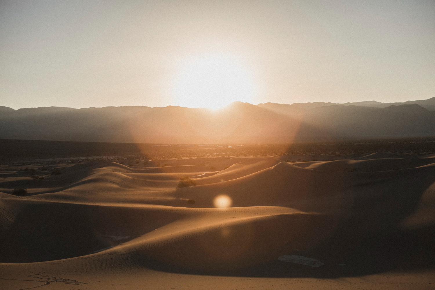 morning desert safari Dubai